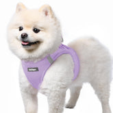 Rabbitgoo small dog harness step-in mesh design for quick, fuss-free on-boarding