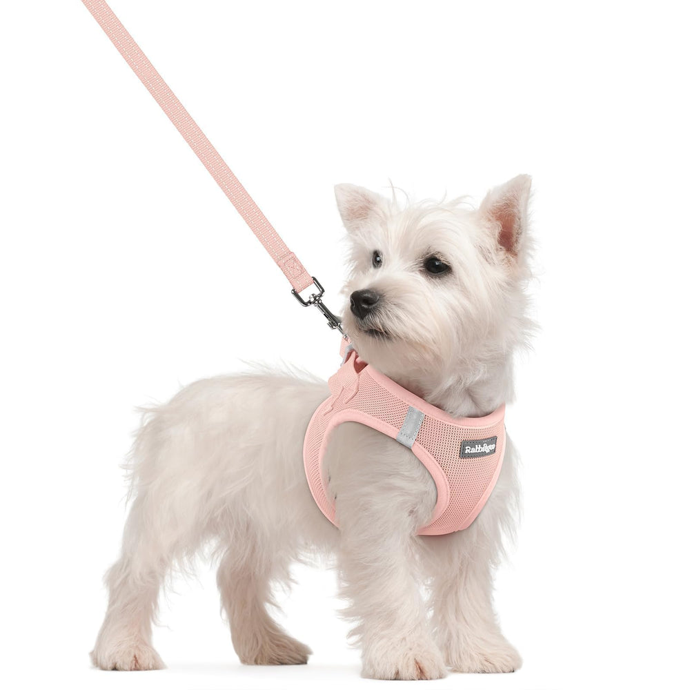 Rabbitgoo small dog harness step-in pink enables easy entry for daily walks