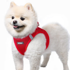 Rabbitgoo small dog harness step-in red front view for quick, secure daily walks.