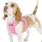 Rabbitgoo small dog harness step-in soft mesh pink for easy on-off comfort
