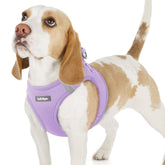 Rabbitgoo small dog harness step-in soft mesh vest in light purple for easy on/off.