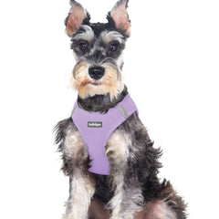 Rabbitgoo small dog harness step-in strap enables quick secure wearing for busy owners