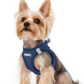 rabbitgoo small dog harness step-in shows easy-entry design for wiggly puppies