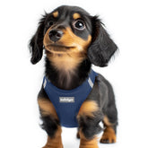 Rabbitgoo XXS step-in harness for easy on/off and comfort