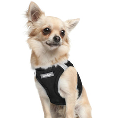 rabbitgoo XXXS small dog harness on dog for secure daily walks