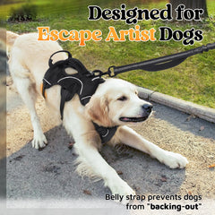 rabbitgoo Soft Padded Air Mesh provides breathable comfort on long walks
