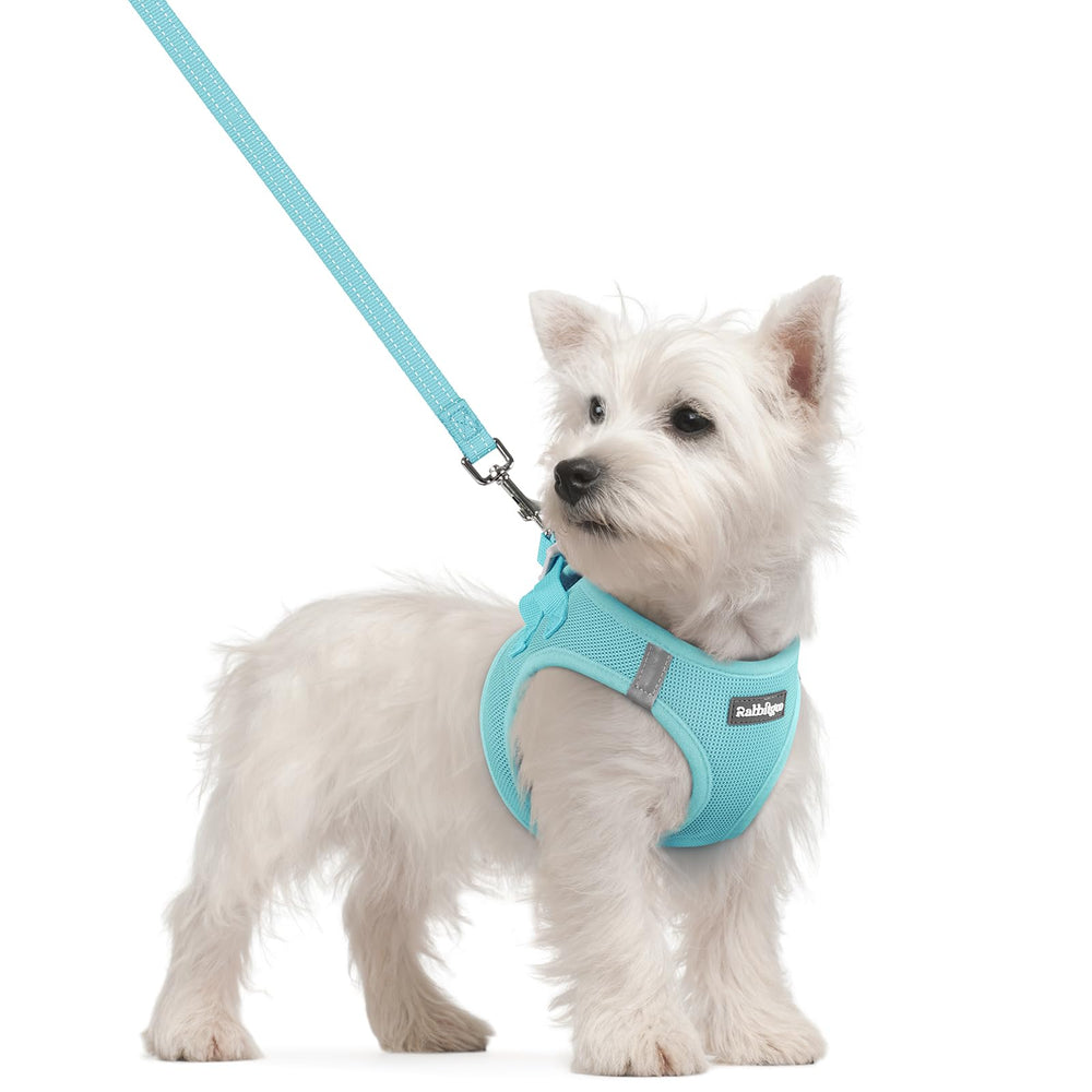 Rabbitgoo Step-In Harness mint blue front view highlighting lightweight design for small dogs