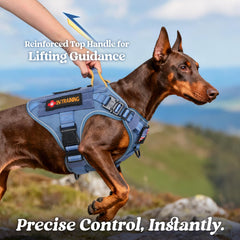 Rabbitgoo tactical dog harness back clip for casual walking control