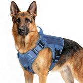 Rabbitgoo tactical dog harness front clip for no-pull training during walks