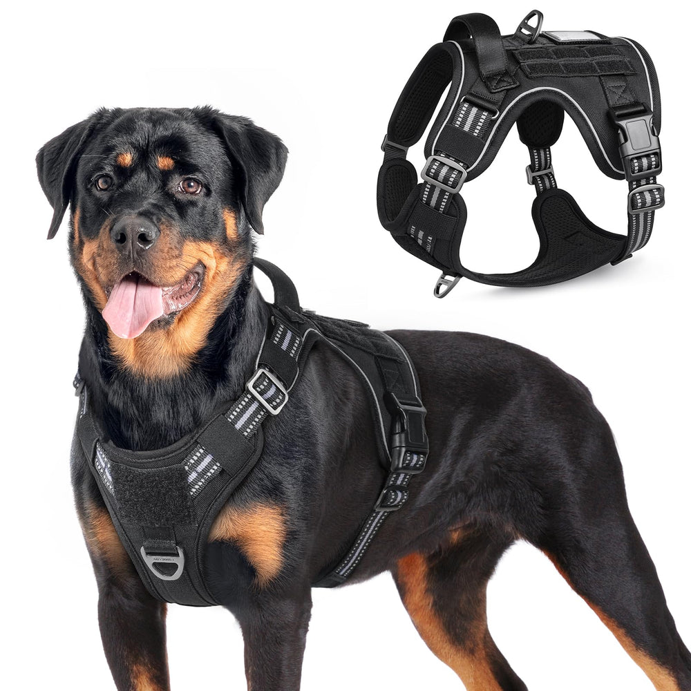 Rabbitgoo tactical dog harness chest-fit demonstrates adjustable sizing for German Shepherds and retrievers.