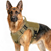 rabbitgoo Tactical Dog Harness front clip enhances no-pull control during walks