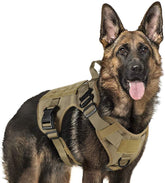 Rabbitgoo Tactical Dog Harness front clip for no-pull training and control.