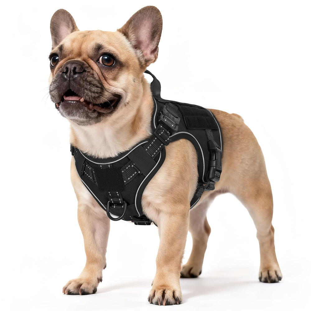 Rabbitgoo tactical dog harness front view with no-pull control for safer walks.