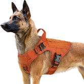 Rabbitgoo tactical dog harness front view highlights durable 1050D nylon for rugged outdoor training