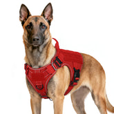 Rabbitgoo tactical dog harness front view showing no-pull control for training.