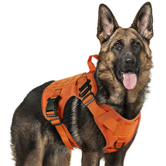 Rabbitgoo tactical dog harness large-breed front view for secure training and hiking.