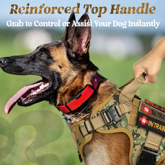 Rabbitgoo Tactical Dog Harness M back view with handle for lifting and control