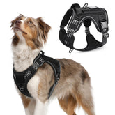 Rabbitgoo Tactical Dog Harness main view shows a secure fit for medium dogs.