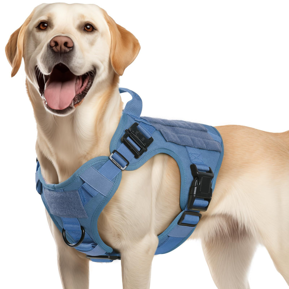 rabbitgoo tactical dog harness medium back view highlights rugged 1050D nylon durability for field use