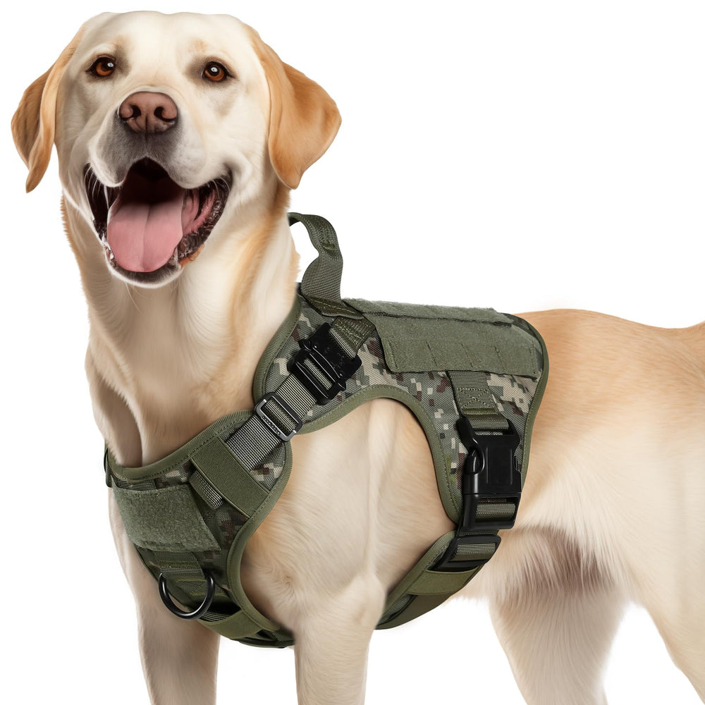 Rabbitgoo tactical dog harness front clip for no-pull control during walks