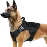 Rabbitgoo tactical dog harness on a medium dog for training and outdoor activities.