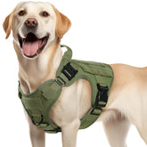 Rabbitgoo tactical dog harness front view with no-pull control