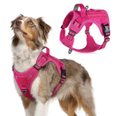 Rabbitgoo Tactical Dog Harness rose red front view with comfortable fit