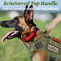 Rabbitgoo tactical dog harness side view shows MOLLE compatibility for gear customization.