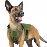 rabbitgoo Tactical Dog Harness back view for small breeds enhances walk control