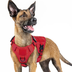 Rabbitgoo tactical dog harness with side MOLLE panel for gear and patches during outdoor adventures.