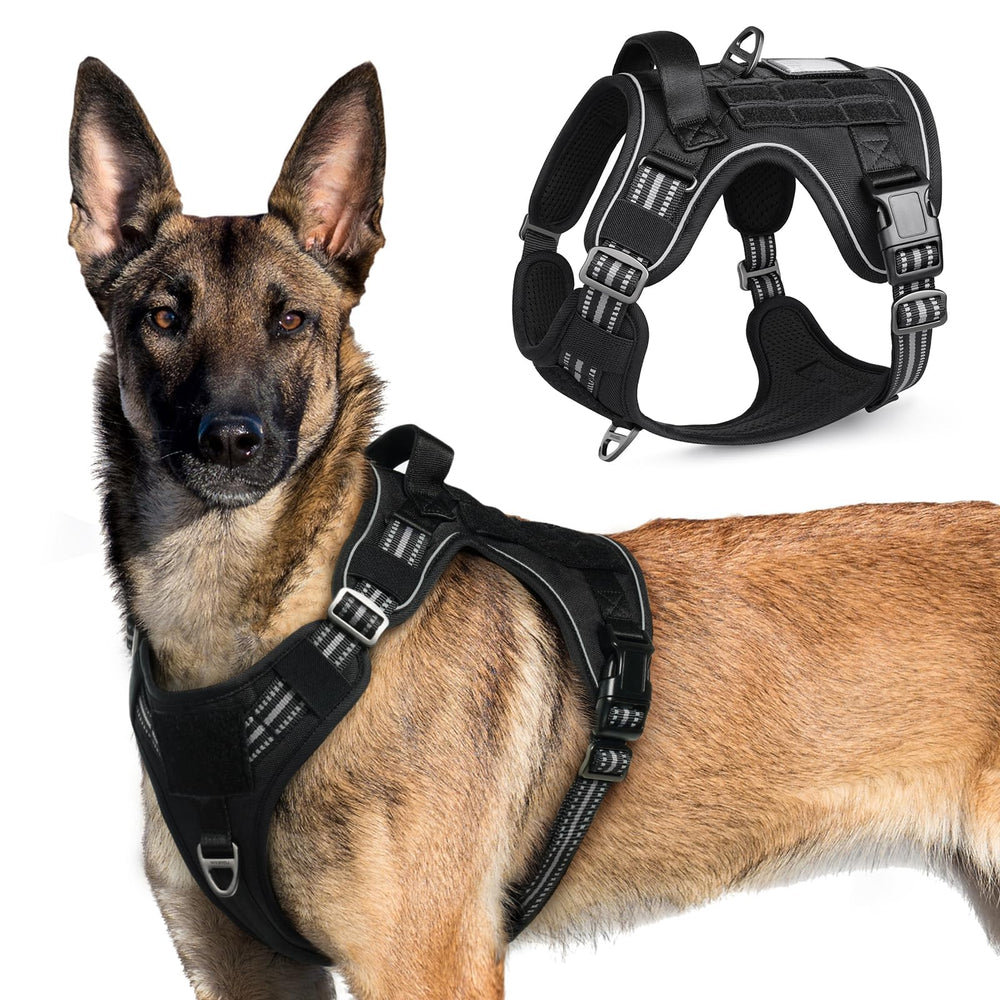 Rabbitgoo Tactical Harness XL side view for secure dog control.