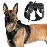 Rabbitgoo Tactical Harness XL side view for secure dog control.