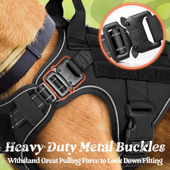 Rabbitgoo top-handle design enables quick emergency guidance during outdoor activities.