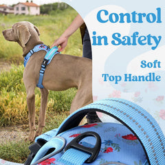 Rabbitgoo reflective stitching boosts visibility for safe night walks.