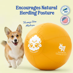 Race&Herd giant dog ball outdoors for fetch and training.