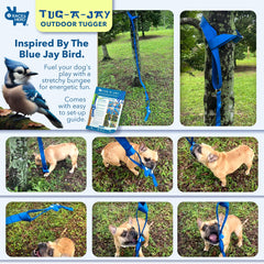 Race&Herd Tug-A-Jay spring-pole setup ready for energetic backyard sessions.