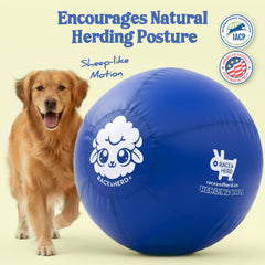 Race&Herd heavy-duty rubber ball built to withstand rough play and chewing.