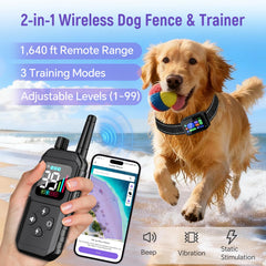 RAINLEOTI training modes image highlights adjustable Beep, Vibration, Static for humane guidance.