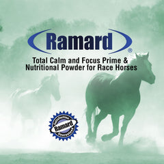 Horse in training with Ramard Total Calm and Focus aiding calmer behavior