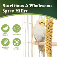 RANZ natural sun-dried millet sprays with bright color and aroma.