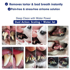 RarePet Canivet scaler tip for targeted tartar removal in hard-to-reach areas