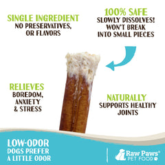 Raw Paws extra thick bully sticks ideal for aggressive chewers