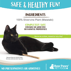 Raw Paws silvervine sticks teeth-detail highlighting potential gentle oral-cleaning action.