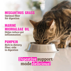 Rawz Digestive Support can label emphasizes no gums and BPA-free lining.