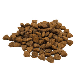 Rawz kibble dish served at mealtime showcases high-protein, grain-free nutrition
