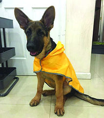 RC Pet Products packable rain poncho Sunshine large featuring a leash access hole for quick outdoor adjustments