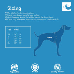 RC Pets Tempo No Pull XS Heather Teal side buckles minimize irritation during walks.