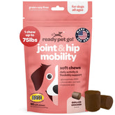 Ready Pet Go hip-joint-chews bottle shows mobility support for dogs.