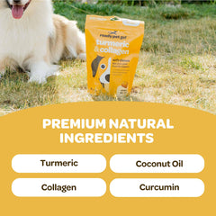 Ready Pet Go Turmeric for Dogs chews support hip and joint comfort during daily play.