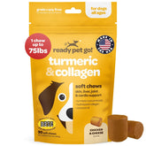 Ready Pet Go Turmeric for Dogs chews packaging clearly lists ingredients.